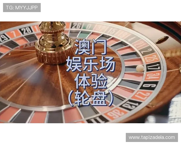 玩转12博官网真人，畅享刺激的在线赌场体验