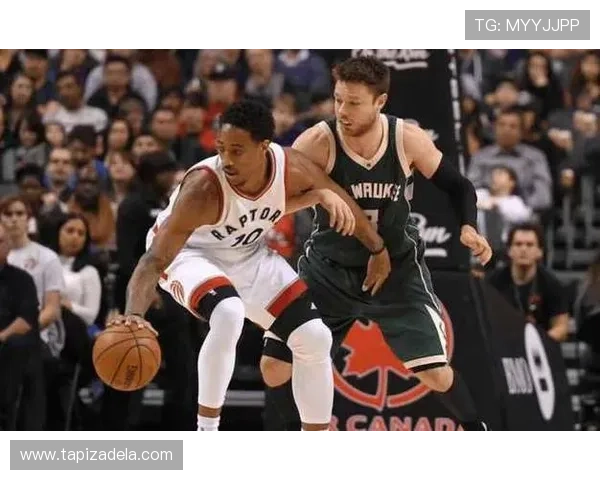 KY体育登录常见问题解答，帮助用户快速解决登录难题