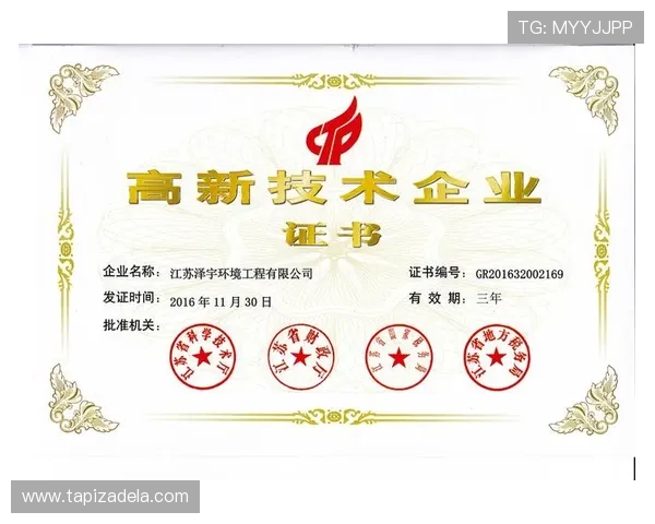 如何通过AG亚游地址安全登录平台避免账号信息泄露与安全风险