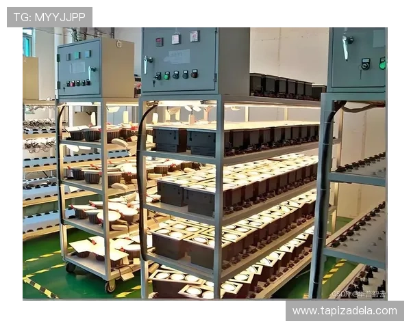 半岛体育平台数据统计功能帮助用户了解比赛实时动态