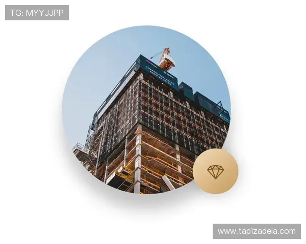 透视ag恒峰官方地址的使用优势与市场前景